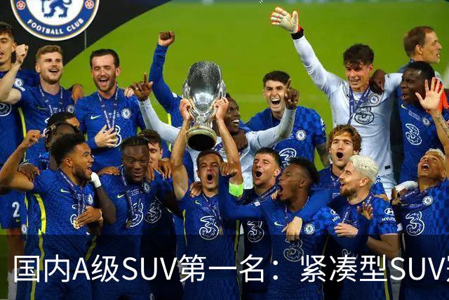 国内A级SUV第一名：紧凑型SUV冠军车，9个月时间销量破14万台